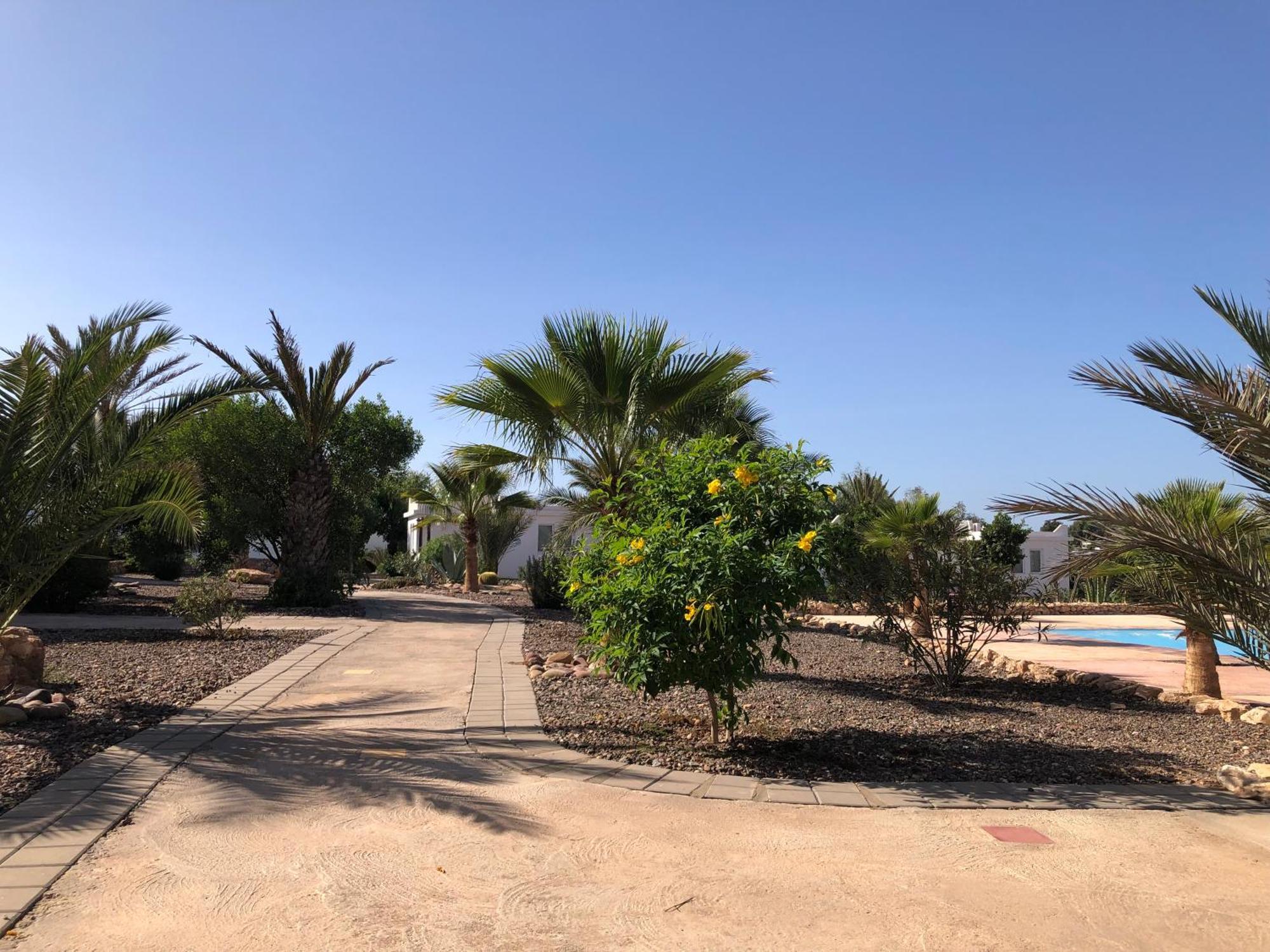 Camping la palmeraie Tifnit Esterno foto